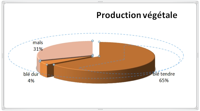Faîtes ceci camembert excel 2007 liste de données
