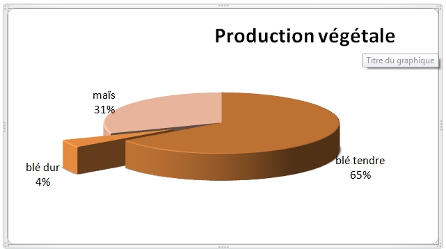 Résultat graphique excel 2007 liste de données