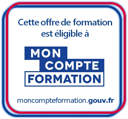 formation excel lyon